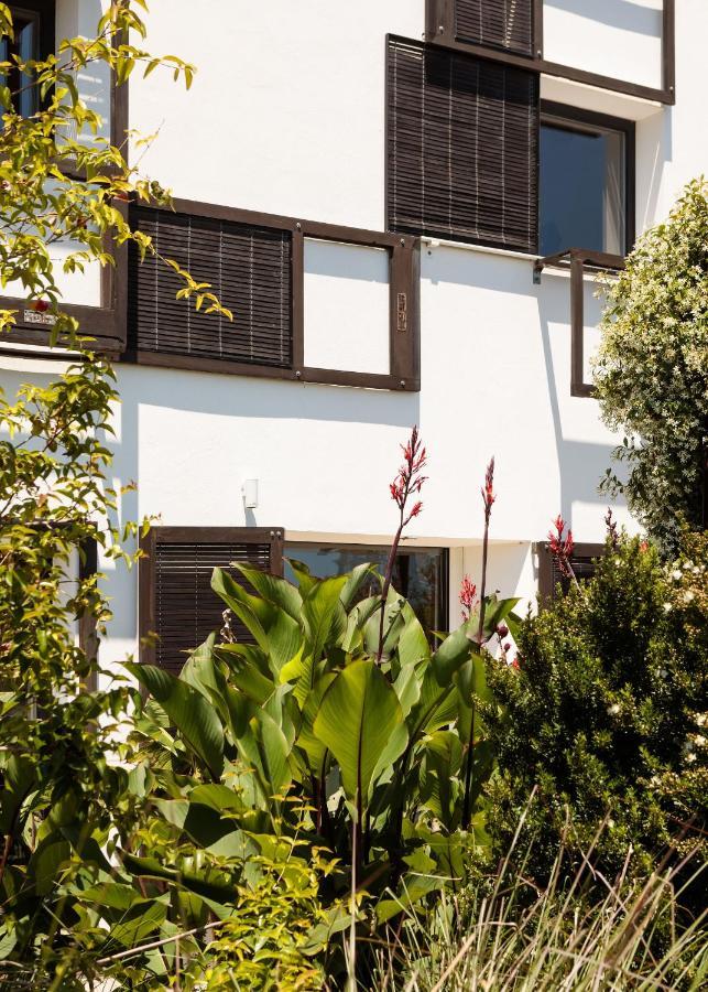 Companhia Das Culturas - Ecodesign & Spa Hotel 马林堡 外观 照片