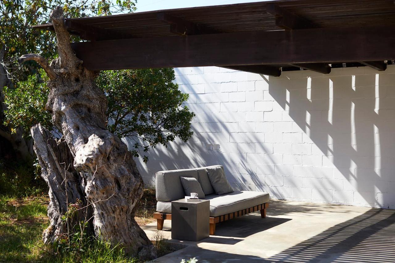 Companhia Das Culturas - Ecodesign & Spa Hotel 马林堡 外观 照片